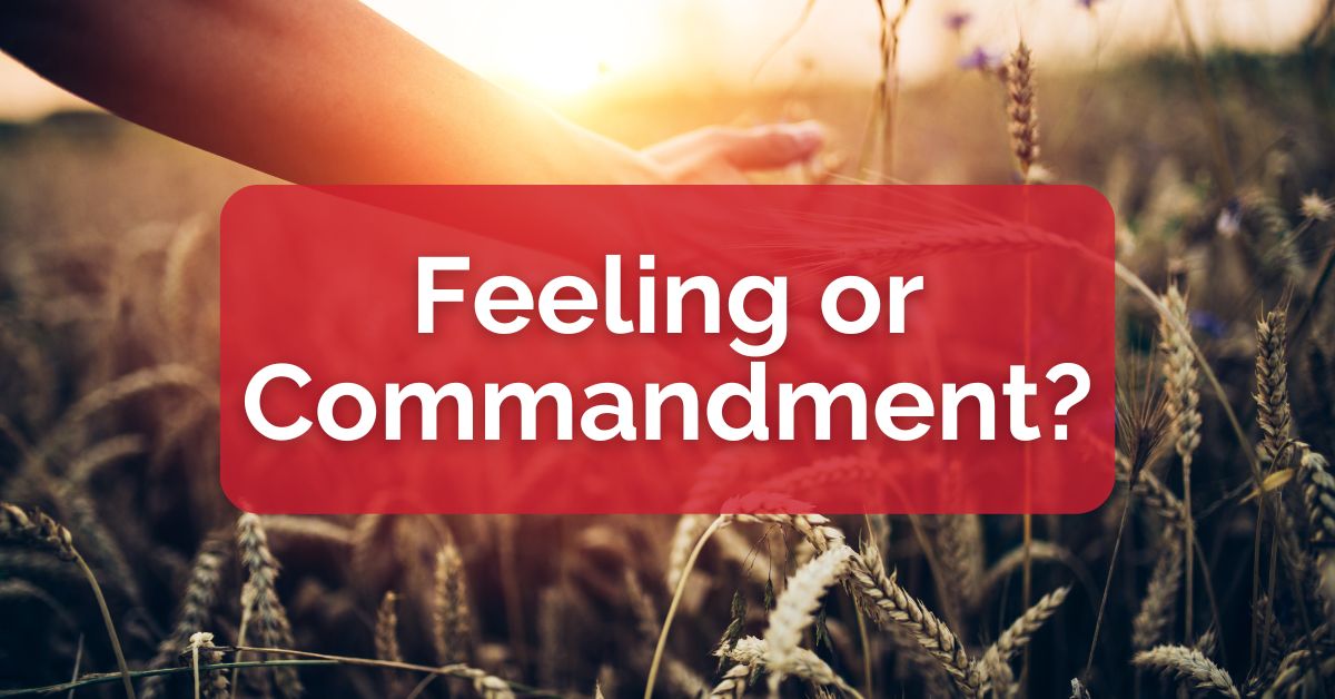 Feeling or Commandment?