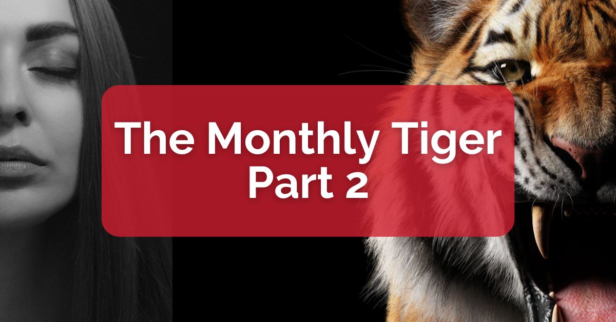 The Monthly Tiger -- Part 2