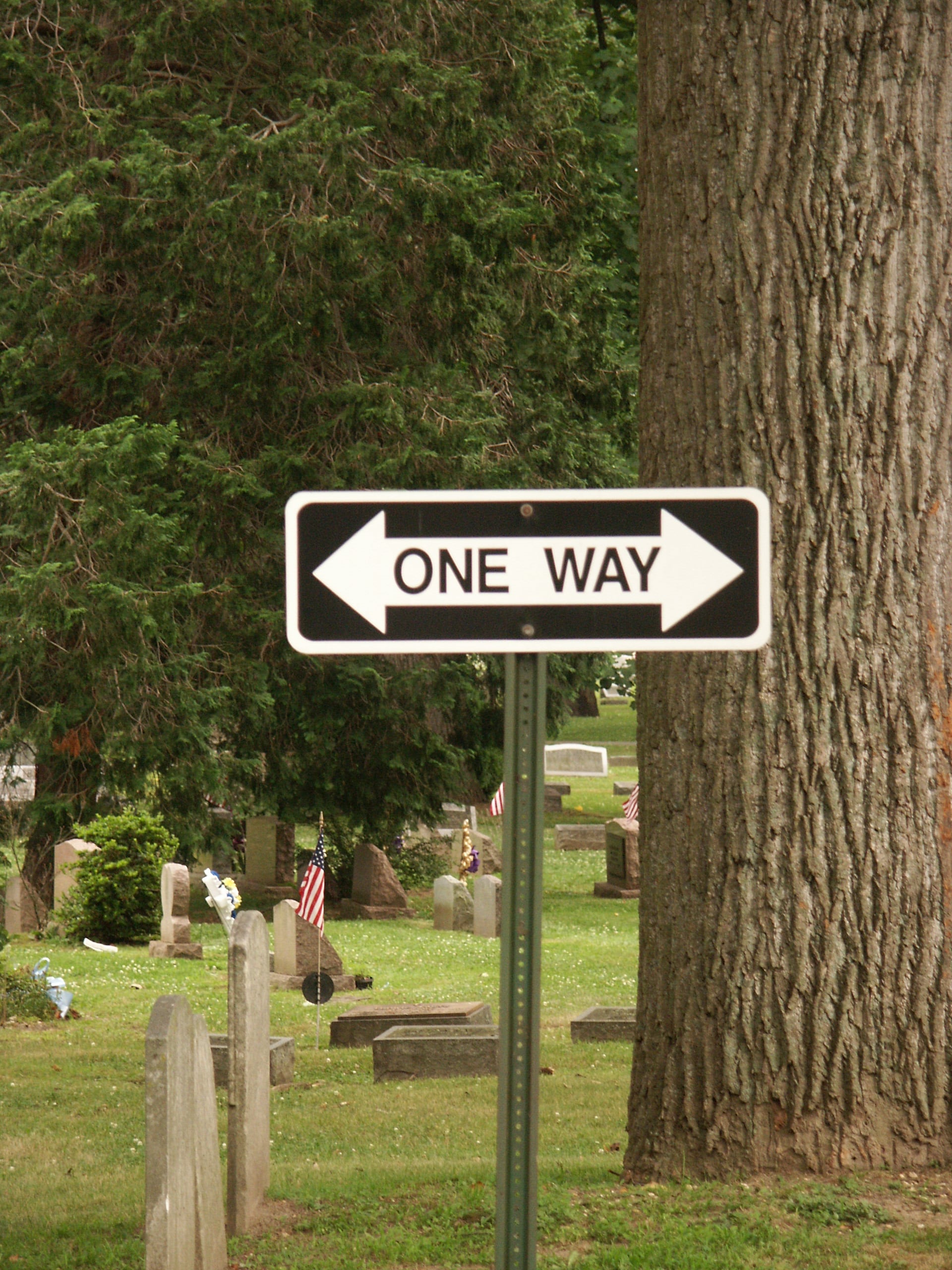 One Way - Institute for Nouthetic Studies | Biblical Counseling