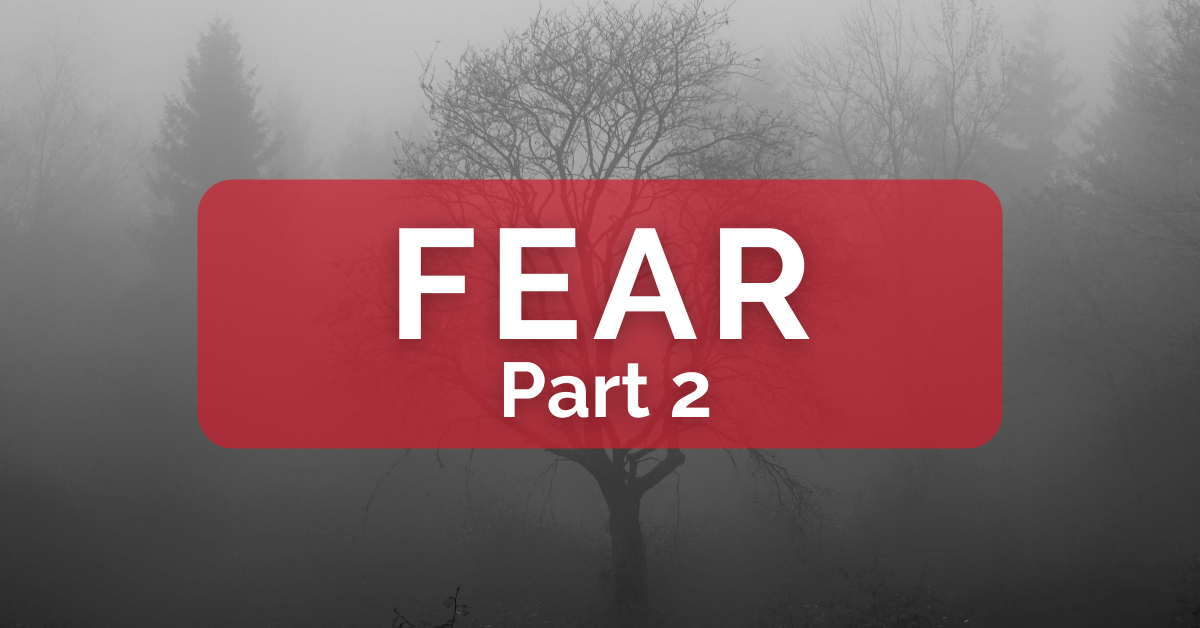 Fear - Part 2