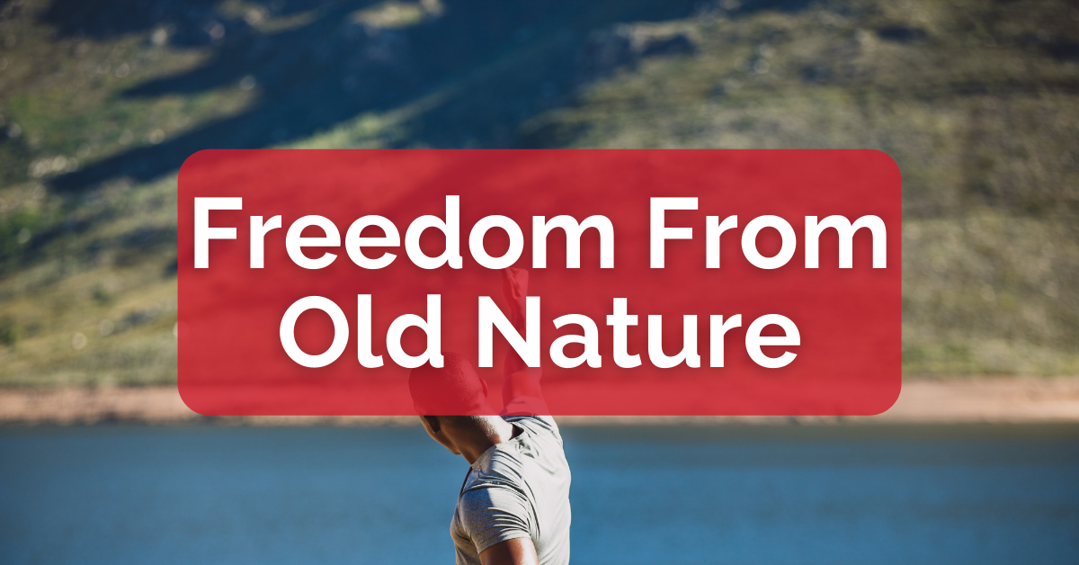Freedom From Old Nature