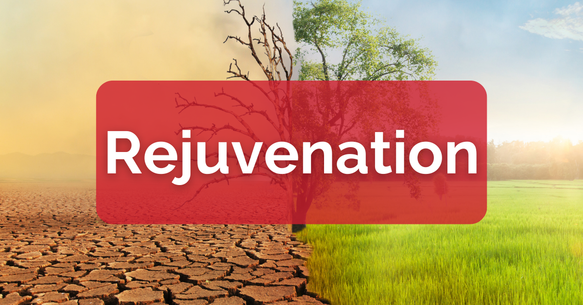 Rejuvenation